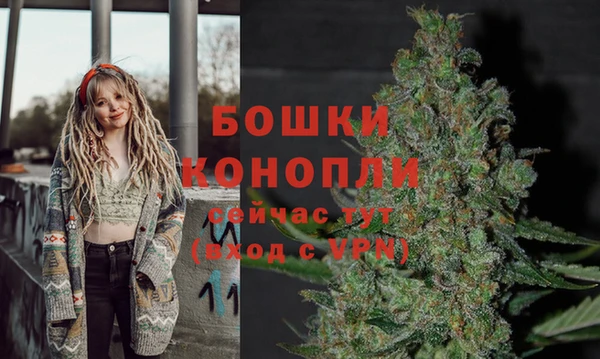 марки lsd Ельня