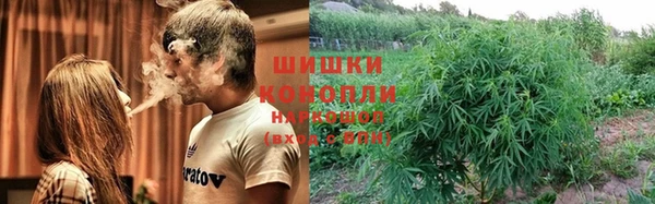 СК Заводоуковск