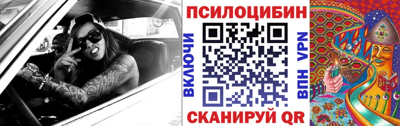 omg ссылка  Шилка  Псилоцибиновые грибы Magic Shrooms 