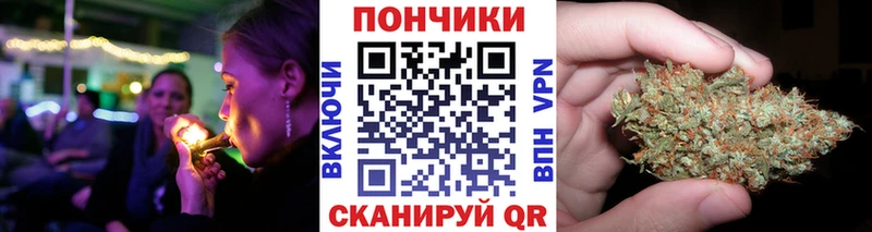 Шишки марихуана ГИДРОПОН Шилка